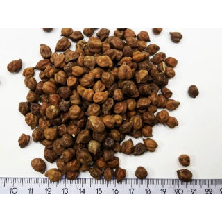 CIECIORKA BRĄZOWA BENGALSKA  ŁUSKANA 1 KG Desi Chana, CIECIERZYCA CIEMNA  CZARNA, CAŁE ZIARNA